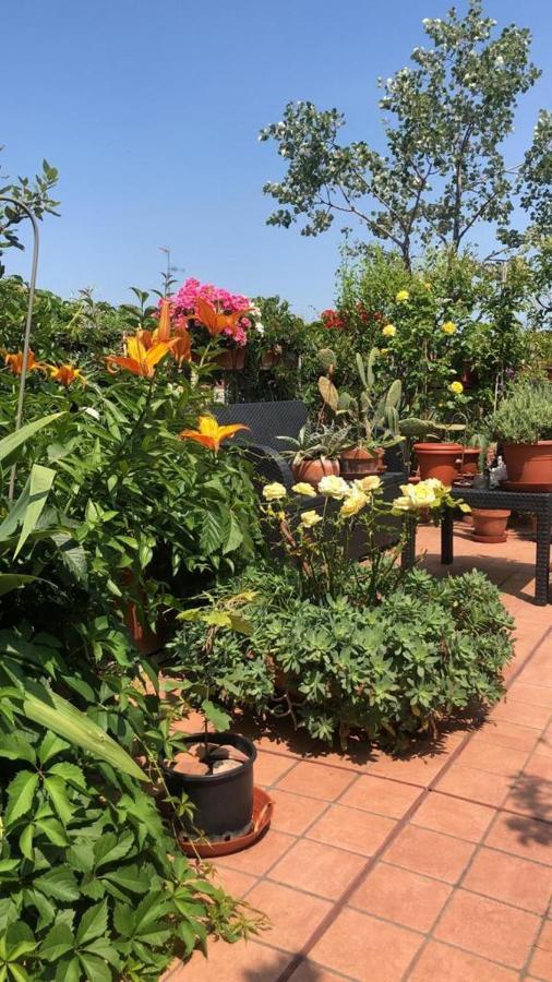 Il Giardino Sui Tetti Apartment Bologna Exterior photo